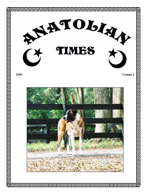 Advertisement Anatolian Times - Single page STUD dog ad - volume 2