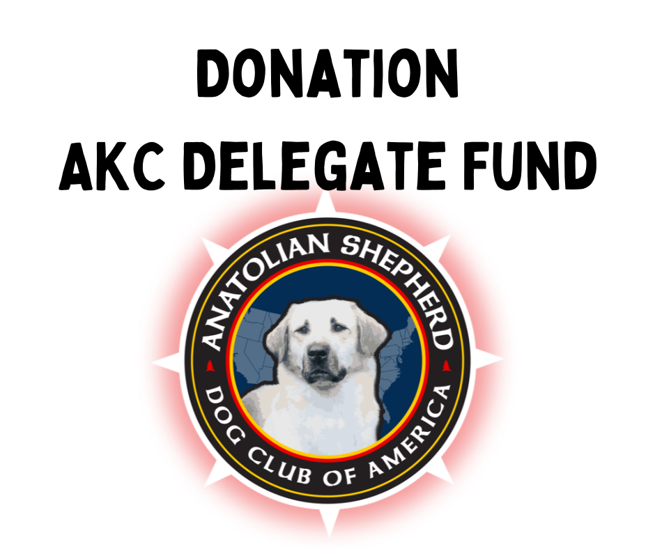 Donation: Delegate Fund