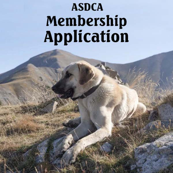 2026 Membership Application Dues