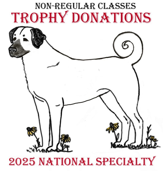 2025 National Specialty Sponsor Non-Regular Classes Trophies!