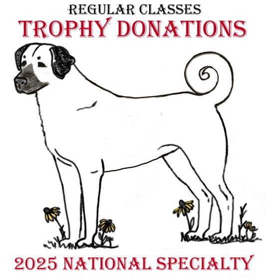 2025 National Specialty Sponsor Regular Classes Trophies!