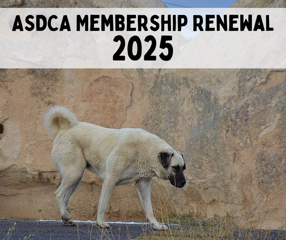 Membership Renewal Dues