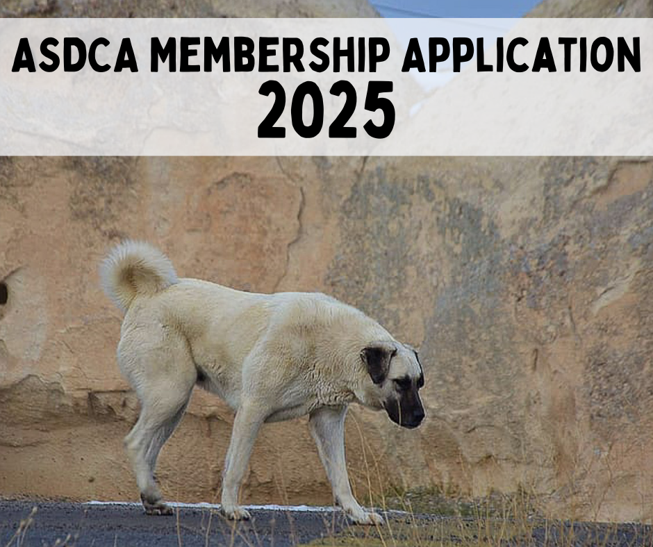 Membership Application Dues