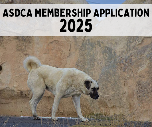 Membership Application Dues