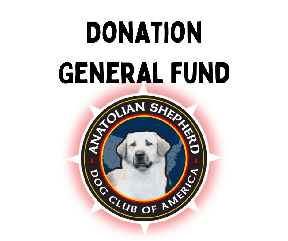 Donation: General Fund