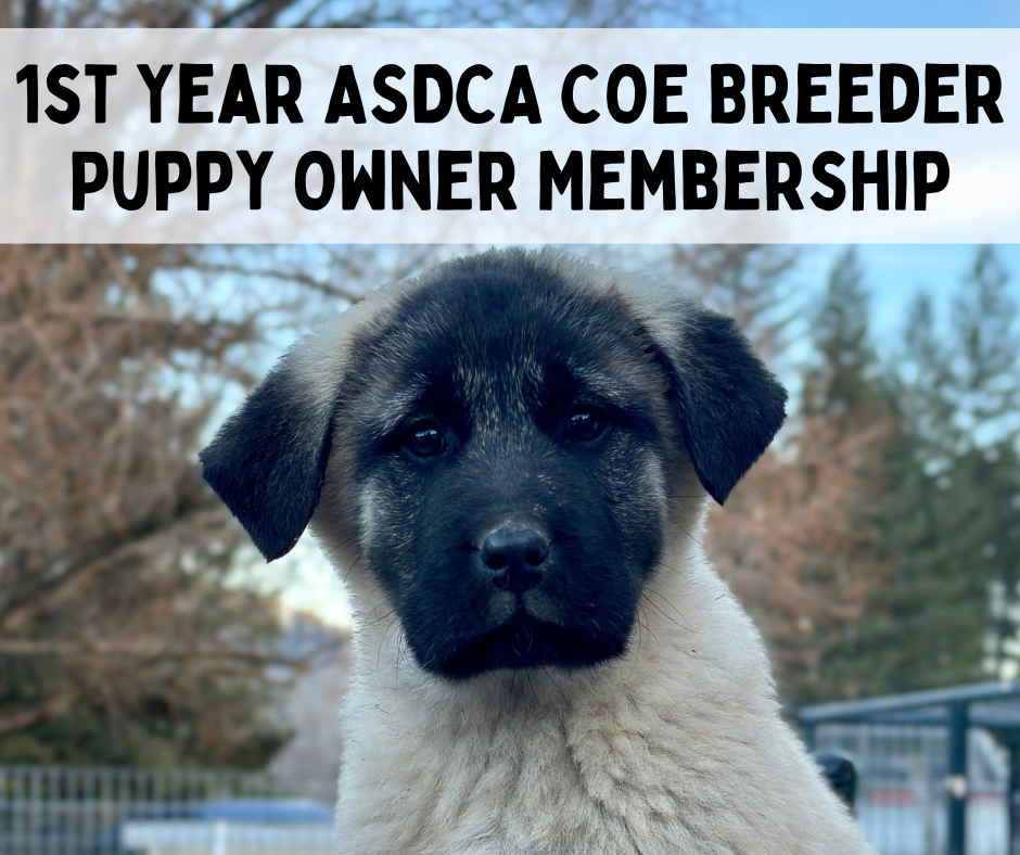 First Year Code of Ethics Puppy Owner Membership Application