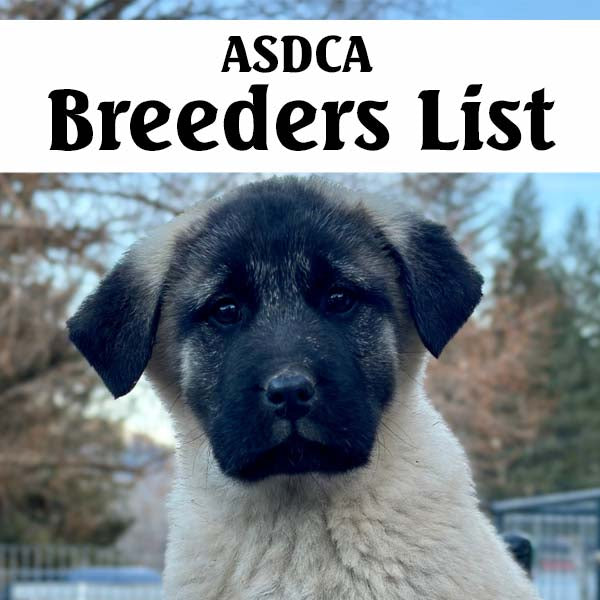 2026 Breeders List Dues